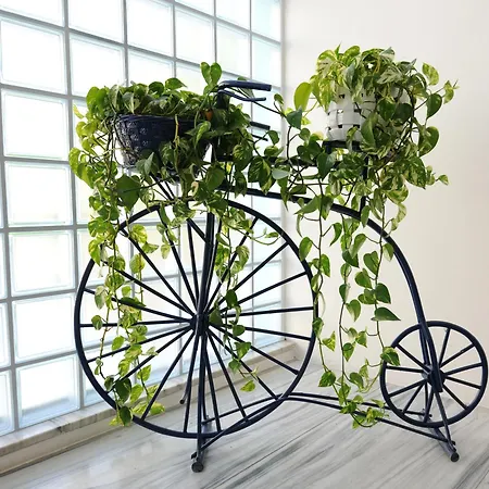 Savoia Lido di Jesolo